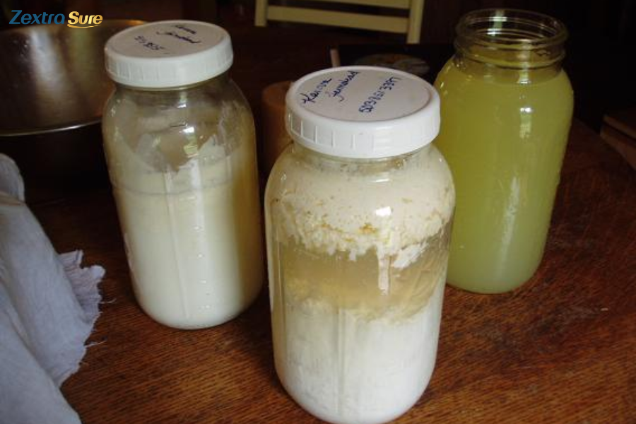 Spoiled raw milk develops a thick consistency or appears curdled